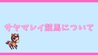 サヤマレイ競馬について